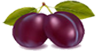 Pflaume